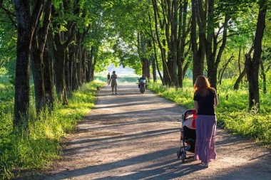 Naučnici otkrili kako su biljke prešle na kopno: Za sve su zaslužni geni