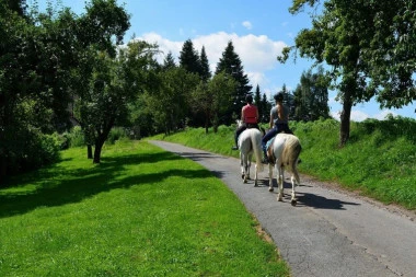 Konjske trke počinju od 1. juna, ali bez publike