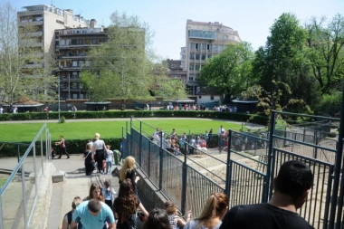 Devojčica pala sa zida u beogradskom zoo vrtu