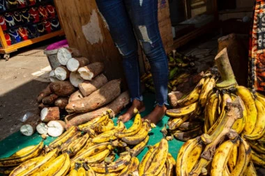 PREPOROD ZA SVEGA MESEC DANA! Evo zašto treba jesti isključivo prezrele banane!