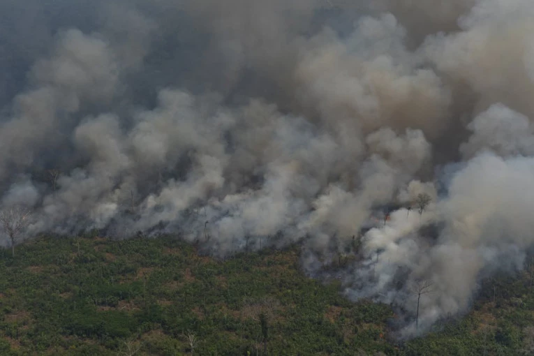 IZBILI NOVI STRAVIČNI POŽARI, NAJGORI U POSLEDNJIH 20 GODINA! Najstarije šume su u plamenu!