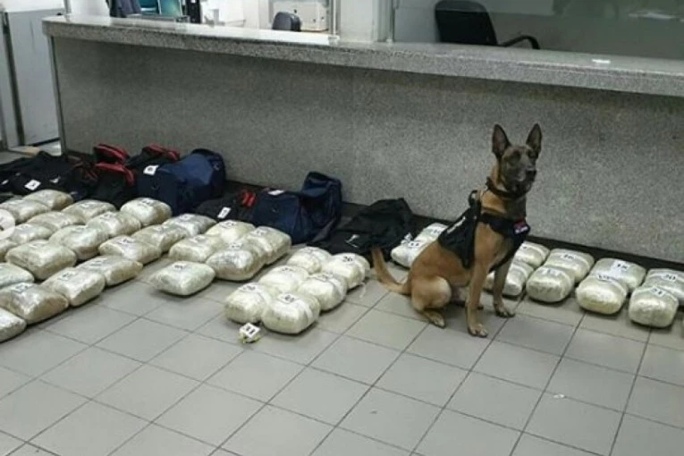 KAD JE VIDEO AUDI, POLICIJSKI PAS NIJE PRESTAJAO DA LAJE: Policajci našli milionski tovar, a šok je usledio kada su otkrili KO JE ZA VOLANOM