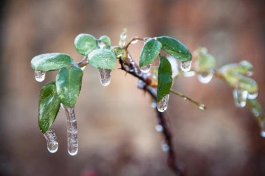 U SRBIJI DANAS TMURNO I HLADNO! OD SUTRA VREMENSKI ŠOK-OBRT: Sledi nam promena temperature kakvu ne pamtimo