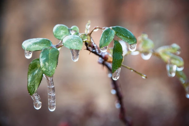 U SRBIJI DANAS TMURNO I HLADNO! OD SUTRA VREMENSKI ŠOK OBRT: Sledi nam promena temperature kakvu ne pamtimo