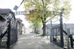 SKANDAL! Nemački đaci razmenjivali nacističke pozdrave tokom posete Aušvicu