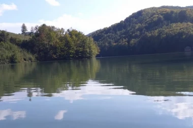 Crna sudbina jedne porodice: Od malih nogu pratila ih je nesreća, Bogoljub se utopio pred očima svog brata