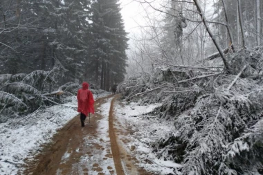 OTAC I SIN SE IZGUBILI NA PLANINI! To je bila jeziva noć sve dok nisu naišli na jednu stvar - ovo im je spaslo život!