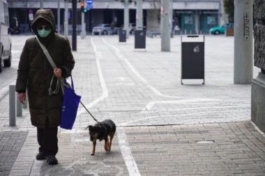 Ne zaboravite: Od večeras od 23 sata do 1 ujutro možete da prošetate ljubimca!