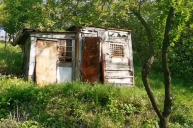 Napustio Beograd: Poznati pevač sada boravi u ovoj kolibi!