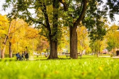 DANAS PRAVO LETNJE VREME! Sunčano i toplo, uveče moguća promena vremena!