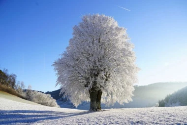 MRAZEVI I PAD TEMPERATURE I DO MINUS 15! Vreme u Srbiji od arktičkog do primorskog! Rolerkosteri narednih nekoliko dana