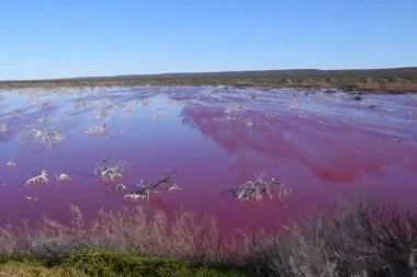 (VIDEO) JEZERO U ARGENTINI POSTALO RUŽIČASTO: Naizgled lepe boje, a istina je ZASTRAŠUJUĆA!