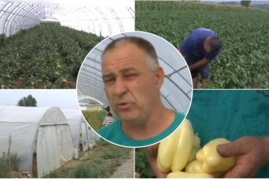 UBIJA KAKO JE RODILA! Srpski domaćin sa juga zemlje ima dobre vesti: Neće biti skuplje od 60 dinara! (FOTO)