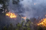 GORI ŠPANIJA, VATRA PROGUTALA ŠEST NASELJA, STIGLA DO ČUVENOG RIZORTA! Stravična poruka vatrogasaca: Nemamo više snage, JEDAN JE STRADAO! (FOTO, VIDEO)