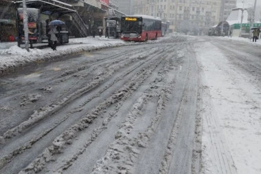 SNEG IZAZVAO HAOS U PRESTONICI! Drvo palo na automobil na Karaburmi, u Vodovodskoj saobraćaj u prekidu iz istog razloga! (FOTO)