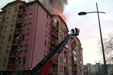 SVE IZGORELO, SAMO JEDNA FOTOGRAFIJA OSTALA: Čudo u Novom Sadu - niko nema objašnjenje zašto je samo ona netaknuta