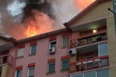 IZ ZAPALJENE ZGRADE NA LIMANU SPASENE BAKA I BEBA! Grad Novi Sad obezbedio smeštaj za stanare! VUČEVIĆ KAŽE DA ĆE POMOĆI I DA SE SANIRA ŠTETA!