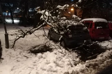 DRVEĆE PADALO NA AUTOMOBILE: Kolaps zbog snega na Kanarevom brdu (FOTO)