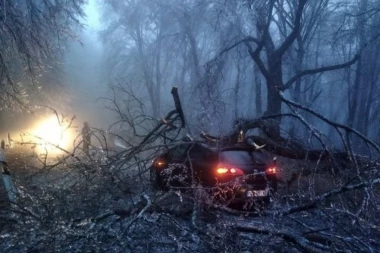 ZALEĐENO STABLO SE OBRUŠILO NE ŽENU NA FRUŠKOJ GORI: Vozači kidali obaještajne trake, ugrozili bezbednost ljudi