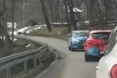 OVAKO I MIŠKO VOZI 2 KM VEZANIH OČIJU: Šok scena na Košutnjaku (VIDEO)