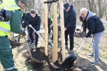 VESIĆ ODGOVARA NA VADNALIZAM: Oni ne mogu da iseku stabala, koliko mi možemo da posadimo (FOTO)