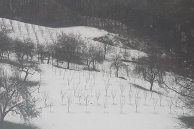 STIŽE SNEG I U SRBIJU! Meteorolog otkriva kada će se zabeleti kod nas!