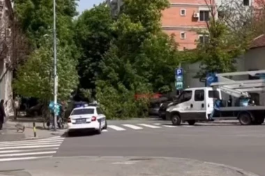 GRAĐANI U ŠOKU! Srušilo se drvo usred Beograda, više automobila oštećeno! (VIDEO)