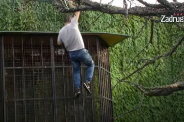 Bebica PONOVO BEŽI IZ ZADRUGE: Nenada izludio Miljanin FLERT SA ZOLOM, pa preskočio ogradu (VIDEO)