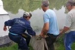 ČUVENI DEDA MICKO ZAPANJIO! Nikada nije ulovio ovakvu neman, i to na neverovatan način! (FOTO)