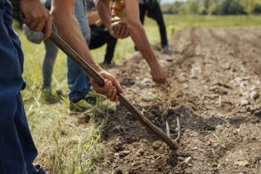 BIZARNO, SMEŠNO, ILI TUŽNO? Nastavak rasprave u Hrvatskoj zbog zabrane upotrebe motika!