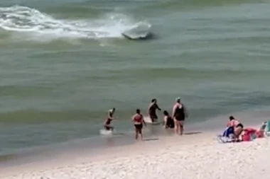 AJKULA ZAVRŠILA U PLIĆAKU,  LJUDI HISTERIČNO BEŽE! Jeziva scena na plaži u Alabami!