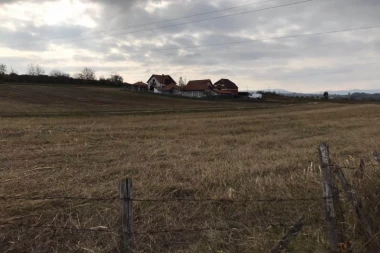 ČUDO U TOPOLI, OVO SE PRVI PUT DEŠAVA! Porodica Radosavljević bila je šokirana šta je zatekla! (FOTO)