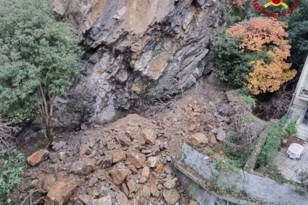 PLJAČKAŠI ISTORIJSKOG BLAGA SE I NE KRIJU PO BOSNI: Na društvenim mrežama osvanuo snimak na kojem se vidi šta rade u šumi (VIDEO)