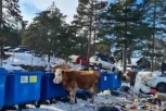 JEZIV PRIZOR SA ZLATIBORA RALJUTIO SRBE: Otpad na sve strane, da li je moguće da se ovako uništava priroda?! (FOTO)