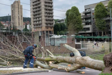 UŽAS U UŽICU! ŽENA I TROJE DECE POVREĐENI: Obrušilo se ogromno stablo, samo se čuo vrisak!