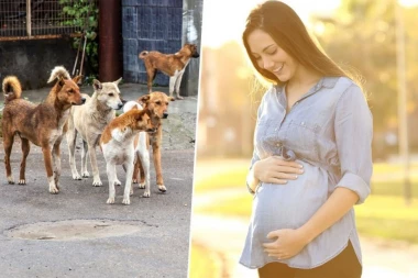 "IZVINITE, DA LI JE PORODILIŠTE PET FRENDLI?!" Pitanje na Fejsbuku šokiralo ljude, ne veruju šta čitaju: Vi ste zaista izgubili kompas... (FOTO)