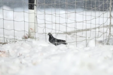 ZABELELO SE U REGIONU! U Sloveniji 32 cm snega, pao sneg i iznad Sarajeva! (FOTO)