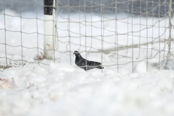 BRZA REAKCIJA SAVEZA! Nakon odlaganja utakmica - evo kada se igraju mečevi na Marakani i Gornjoj varoši!