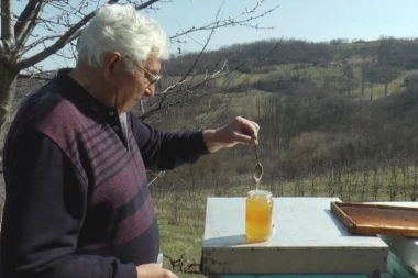 MED NIKAD SKUPLJI! Na tržištu se pojavio lažni, evo kako da prepoznate domaći med