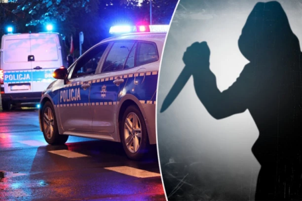 KRVOPROLIĆE NA FAKULTETU: Student prava ženi sekirom odsekao glavu!