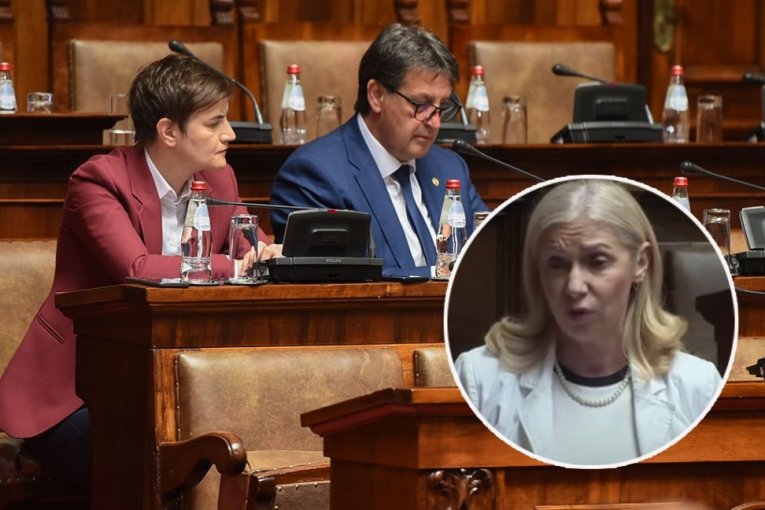 SAD SMO SVE ČULI: Opozicija: Gašić nije odgovoran, ali mora da ode! Taličan je, ima lošu karmu! Brnabić: Ušli smo u svet paranormalnog!