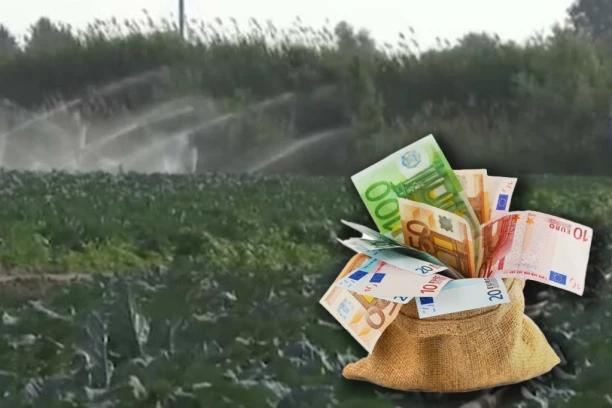OD OVOG ZANIMANJA SE U SRBIJI LEPO ŽIVI! Malo ljudi se setilo da uzgaja OVU BILJKU!
