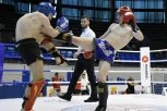 KIK BOKS U NOKDAUNU! Crni dani za NAJTROFEJNIJI srpski sport: Računi BLOKIRANI, borci ne mogu nigde van Srbije!