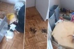 CELA SRBIJA BRUJI O PODSTANARU IZ PAKLA: Šokantan video kruži mrežama - nikome nije jasno kako je došlo do ovog (VIDEO)