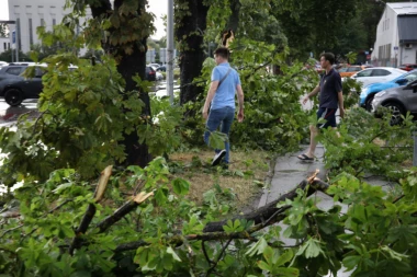 POZNATO STANJE DEVOJČICE (15) NA KOJU JE PALO DRVO: Oglasili se lekari iz Novog Sada - evo kakve je povrede zadobila!