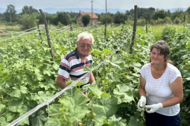 ZA PAR MESECI LEGNE GODIŠNJA PLATA: Mila iz sela kod Kraljeva se odlučila da pokrene ovaj biznis - ne može da se obogati, ali ne može ništa ni da fali