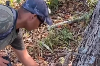 ŠETAO JE KROZ ŠUMU I UOČIO ČUDNO, MALO STVORENJE KOD DRVETA: Sagao se da ga podigne, a onda je ugledao veliku kandžu tik ispred nosa (FOTO+VIDEO)