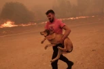 U TRKU SPASAVAO ŽIVOTINJE IZ VATRENE STIHIJE! Iz Grčke stižu dirljivi prizori - oglasila se i žena HEROJA, pa nastao MUK (FOTO)