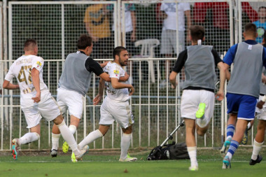 SUPERLIGA SRBIJE, 16. KOLO: Čuka pokorila Niš, slavlje u Pančevu posle preokreta!
