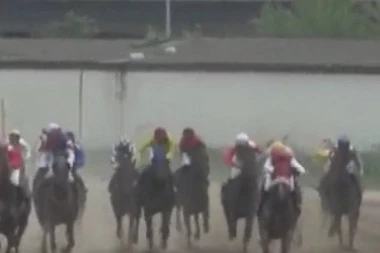 STRAVIČNO! Jezive scene na Beogradskom hipodromu! Konj polomio nogu na trci, Džokej pao! Usledilo je HAOTIČNO stanje na stazi! (UZNEMIRUJUĆI VIDEO)